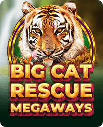 Big Cat Rescue Megaways on IX7 Game - IX7 Apk Download