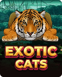 Exotic Cats on IX7 Game - IX7 Apk Download