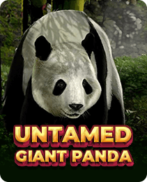 Untamed Giant Panda on IX7 Game - IX7 Apk Download